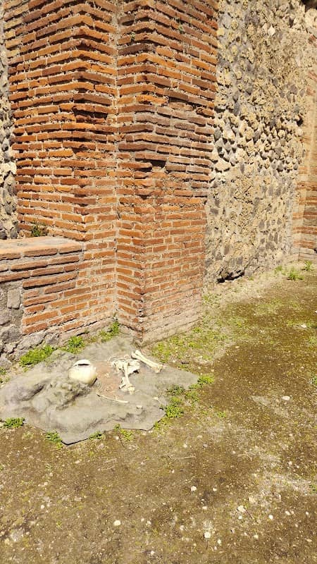Terme Centrali - Image 2