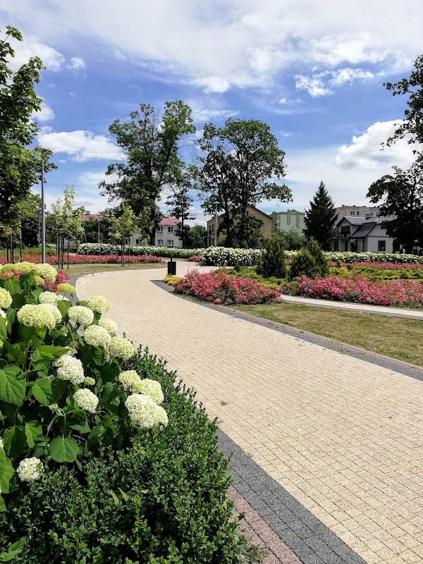 Park Miejski "Księży Lasek" - Image 1