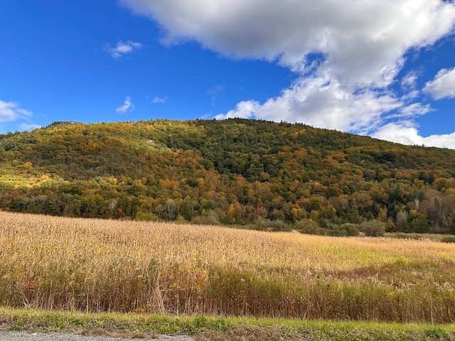 Adirondack Park - Image 1