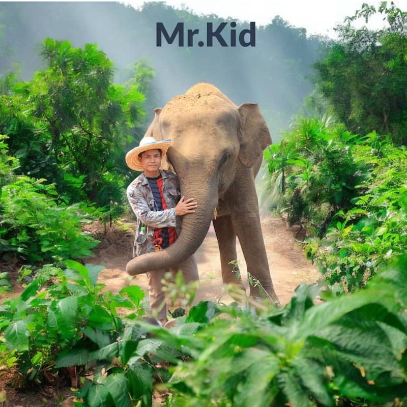 Elephant Rescue Park - Image 1