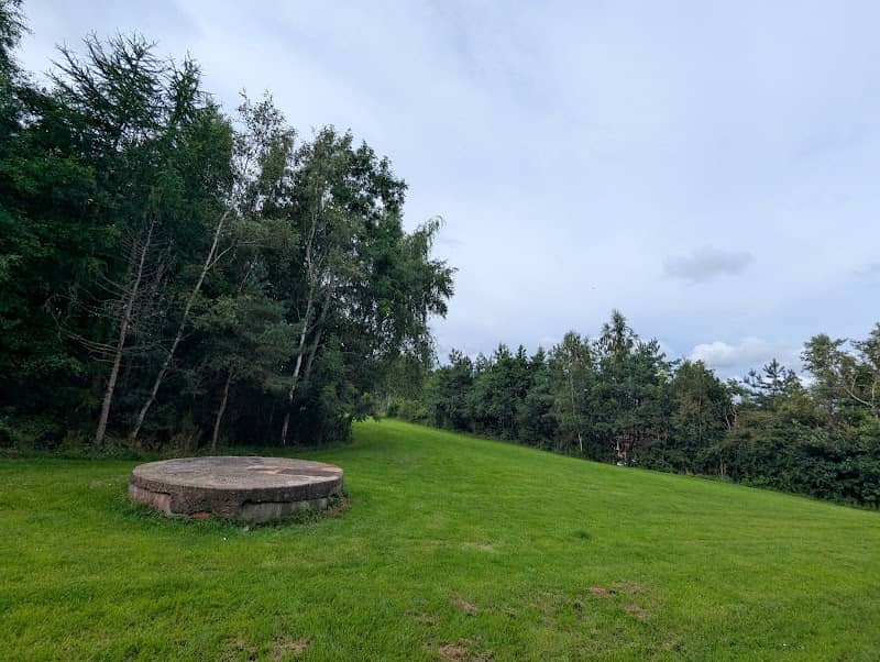 The Grassy - Image 1