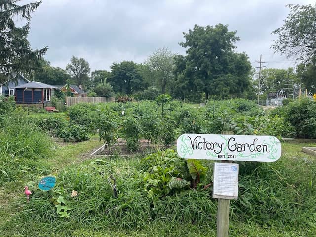 Island Lake Victory Garden - Image 1