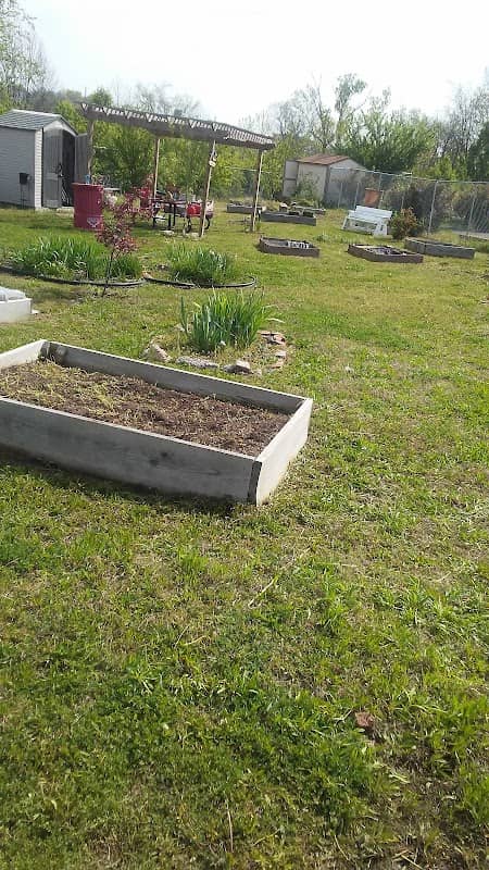 C.O.L.A. Victory Garden - Image 2