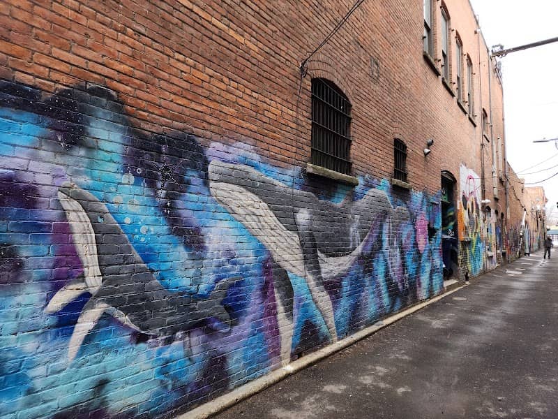 Galaxy Gallery - Image 1