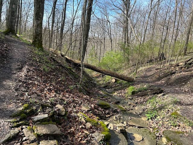 Woodland Trailhead - Image 1