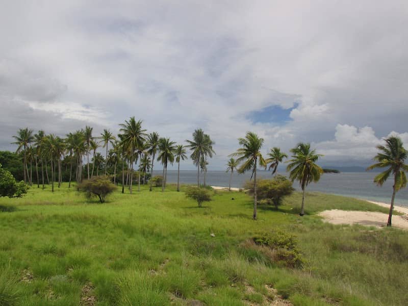 Toroh Bunging - Image 1