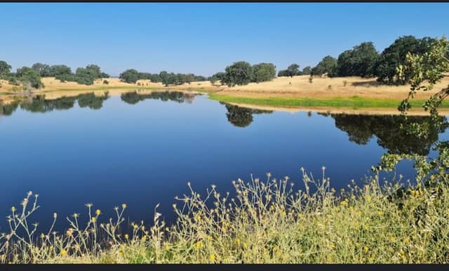Oak Slough Trailhead - Image 1