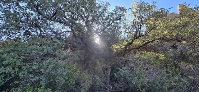 La Cueva Archaeological Site - Image 1
