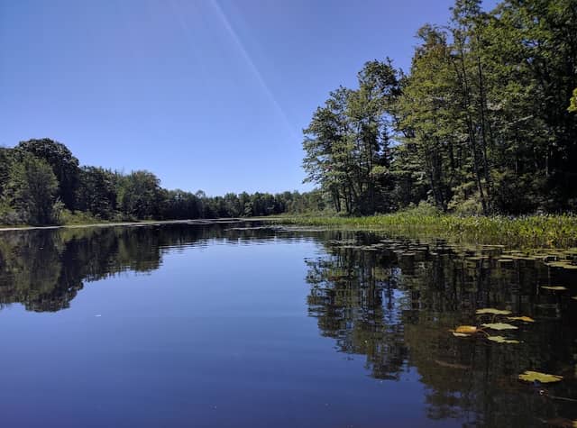 Mercer Bog Wildlife Management Area - Image 2