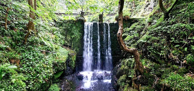 Alva Glen burnside walk - Image 1