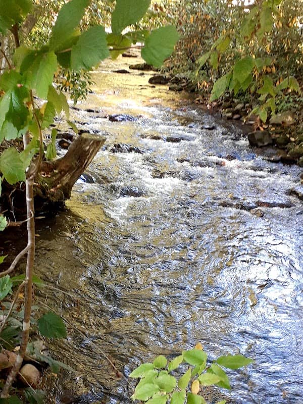 Maggie Valley - Image 2