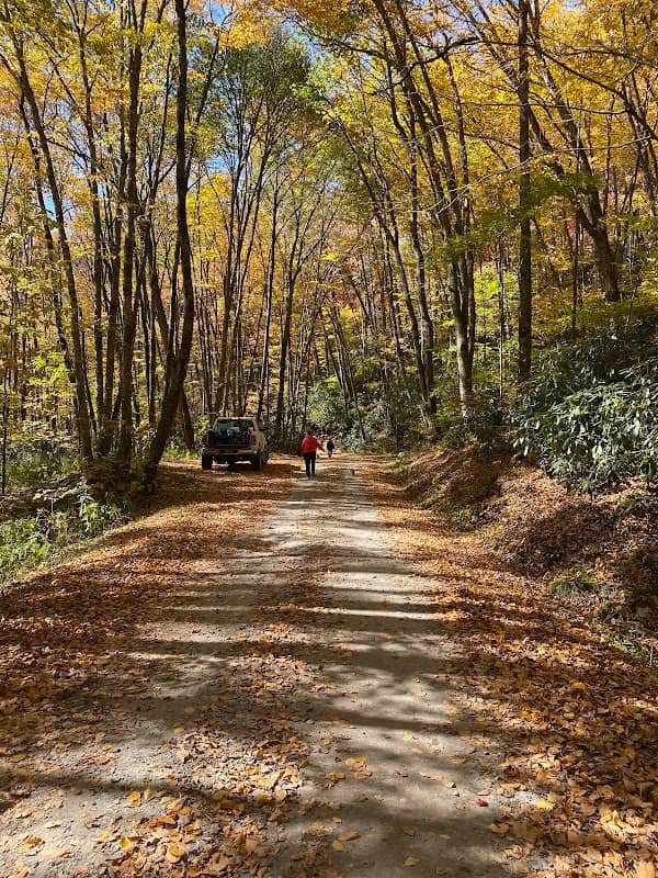 Maggie Valley - Image 3