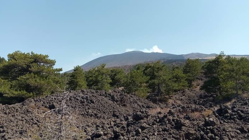 Monte Vituddi - Image 1