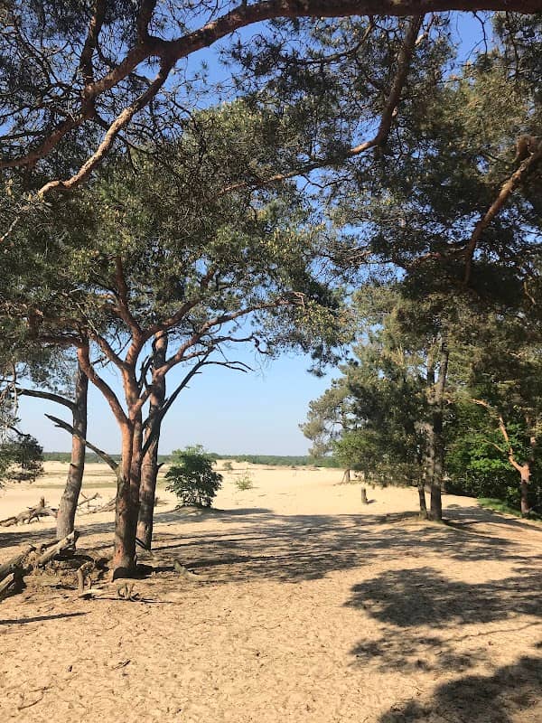 Uitkijkpunt Loonse & Drunense Duinen - Image 1