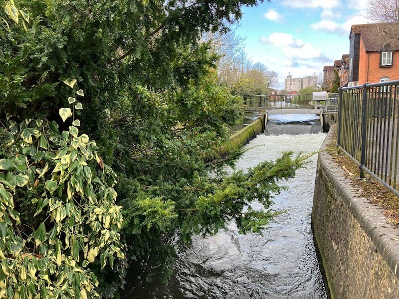 Greenham Mill Fish Ladder - Image 1