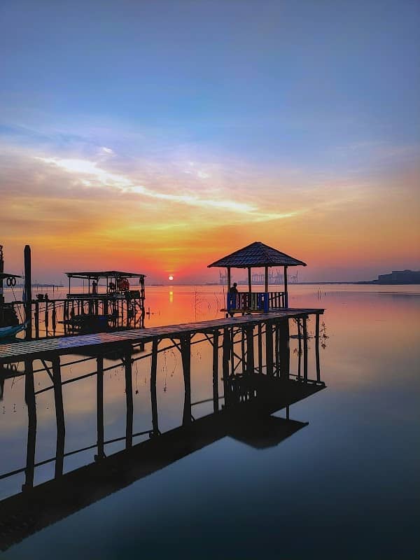 Mangrove Karangkiring - Image 1