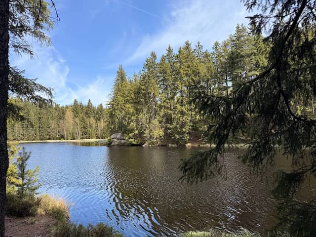 Steinklippe am Vogtlandsee - Image 1