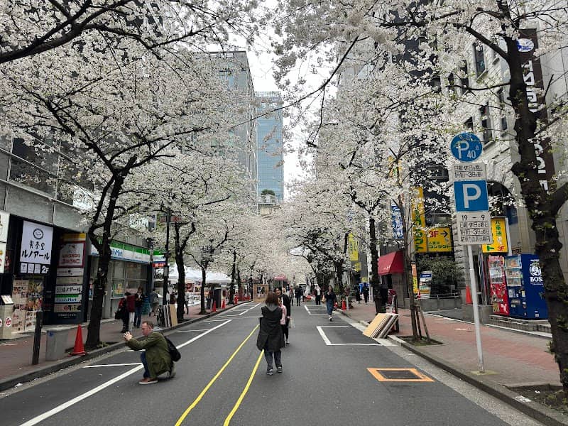 Yaesu Sakura Street (Sakura Dori) - Image 3