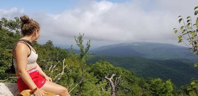 Beahms Gap Overlook - Image 1