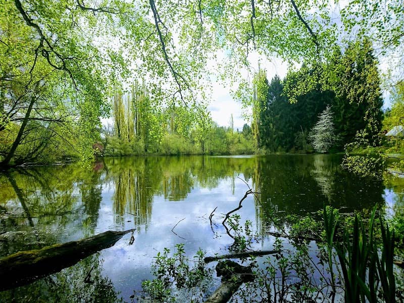 Twin Ponds Park - Image 1
