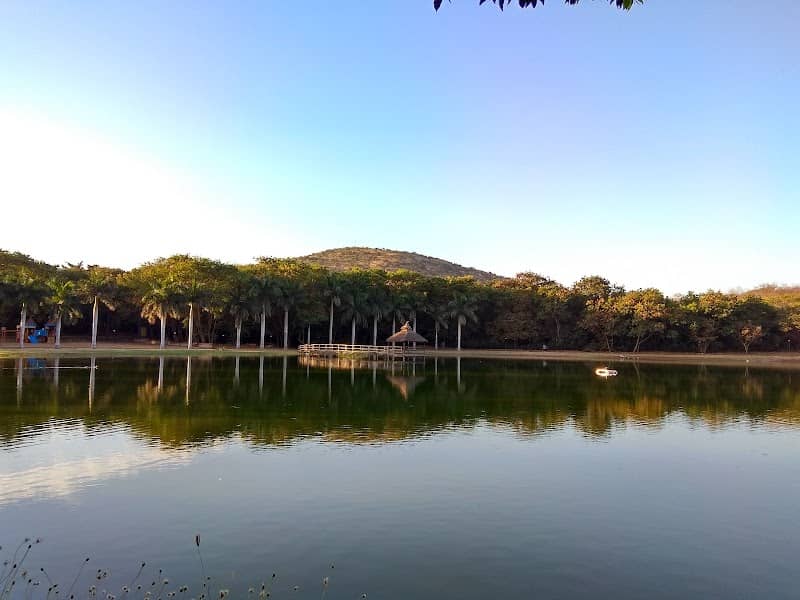 OPJ Museum Park - Image 1