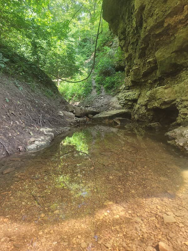 Mill Rock Road Conservation - Image 1