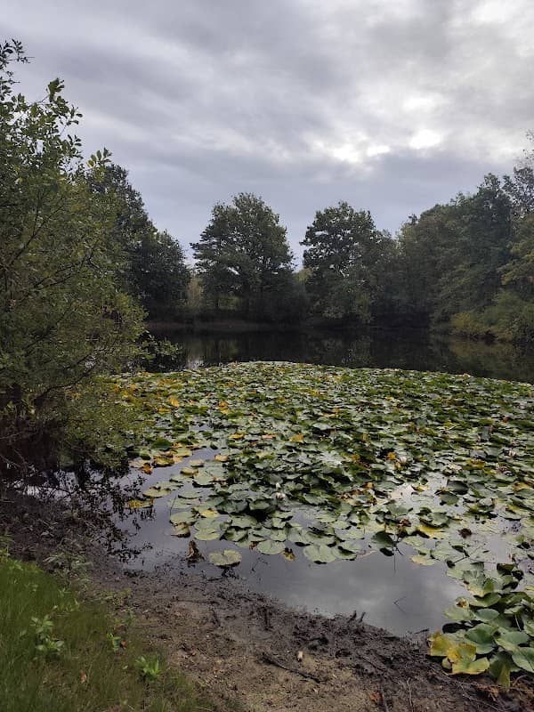 Park Missiehuis - Image 2