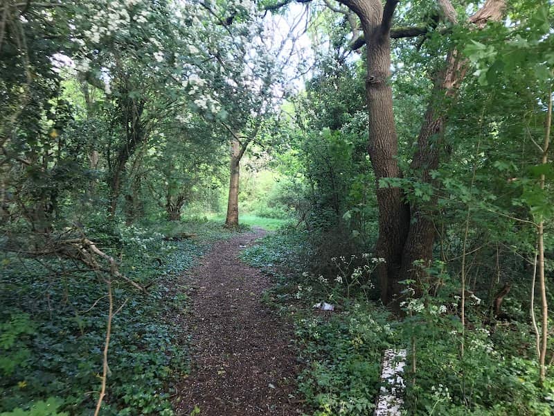 Middle Hall - Image 1