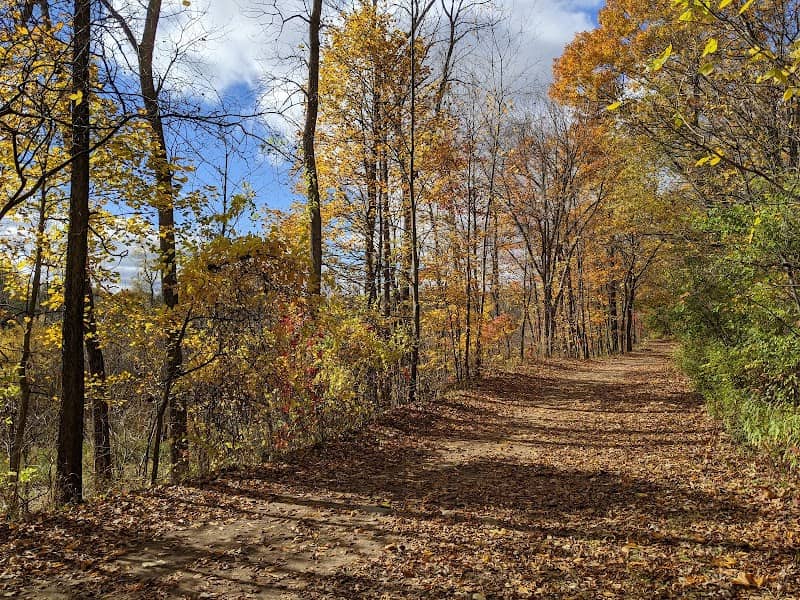 Grand Woods Park - Image 2