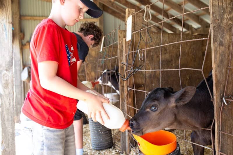 Hansen's Farm Fresh Dairy - Image 1