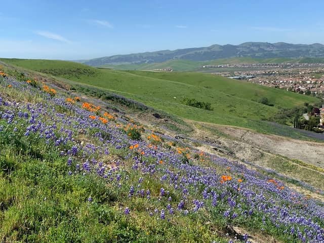 Hidden Valley Open Space - Image 2