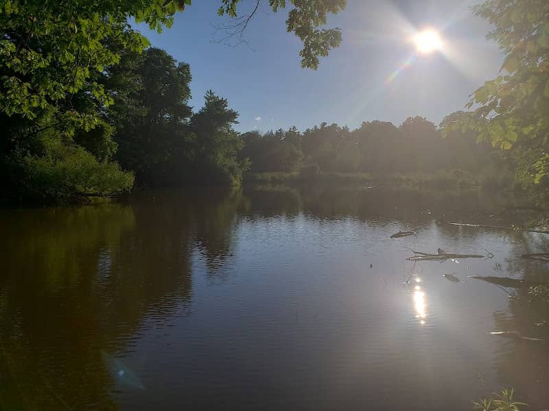 Lake Newport - Image 2