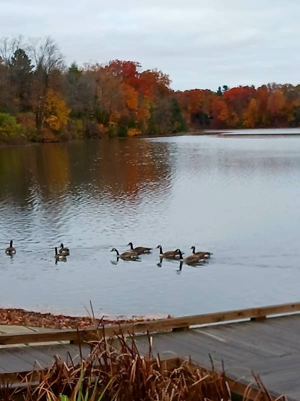 Lake Newport - Image 1