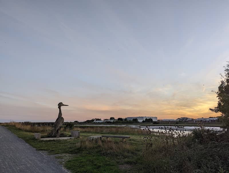 Wood Heron Sculpture - Image 2