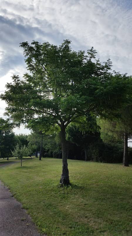 Parco Pubblico Venezia Giulia - Image 1