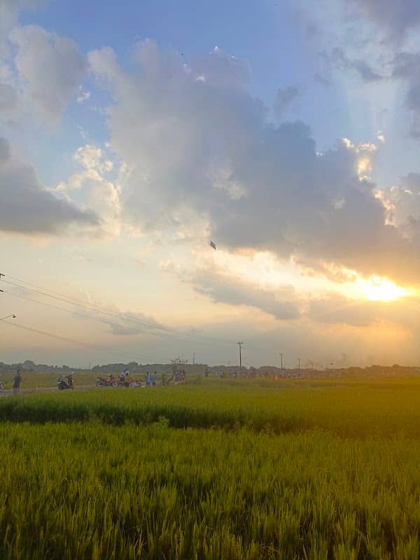 Spot Sunset - Image 1