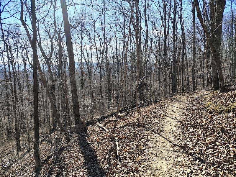 Raccoon Mountain Mtb Trail - Image 1
