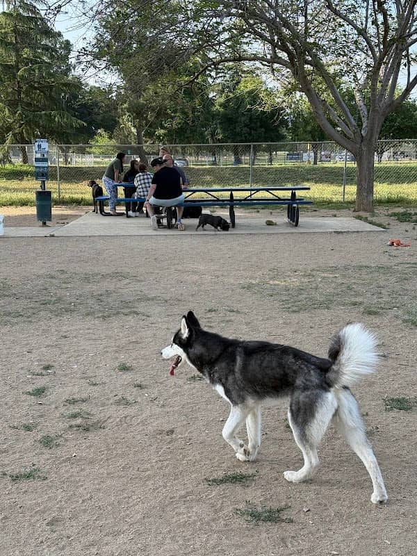 Noble Dog Park - Image 1