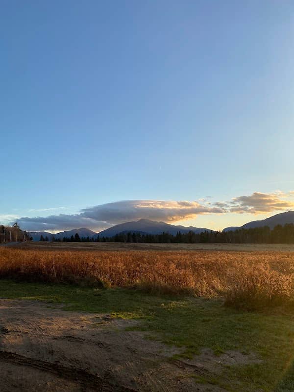The Meadows - Image 1