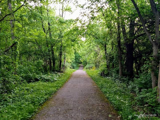 Hollow Park - Image 1