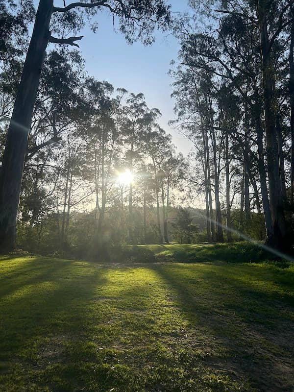 Doon Bushland Reserve - Image 1