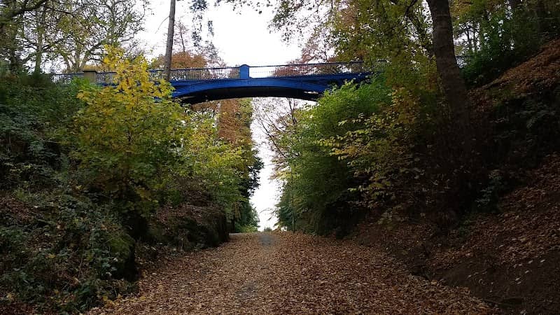 Balgay Park - Image 2