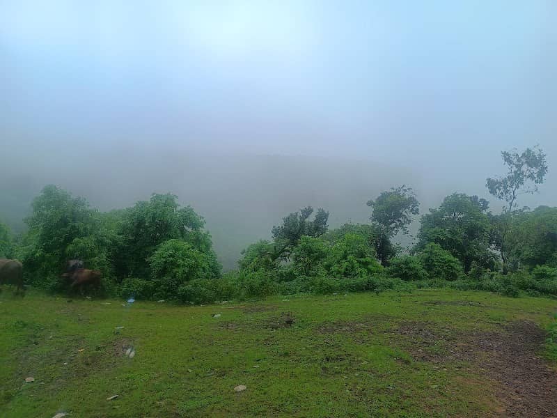 Mountain view - Image 2