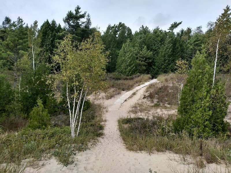 Point Beach Ridges State Natural Area - Image 3