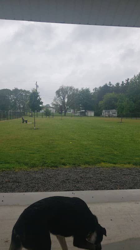 Ada Dog park - Image 1