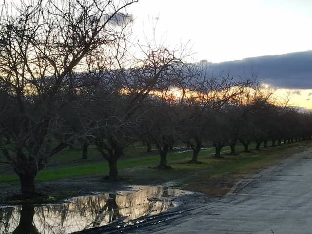 Shadowood Park - Image 1