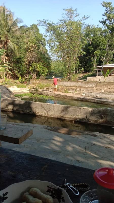Balong Ku - Image 2