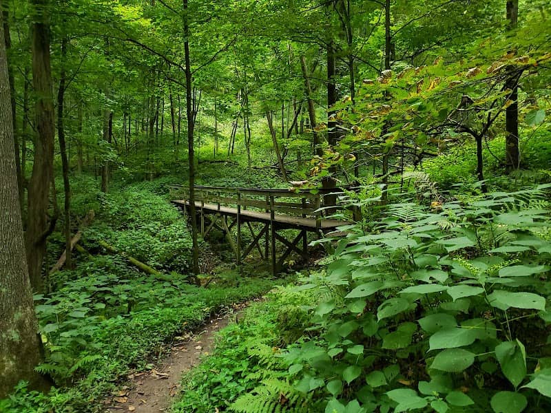Wildcat Mountain State Park - Image 2
