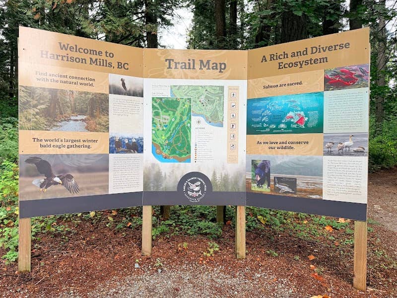 Eagles & Salmon Viewing Point - Image 1