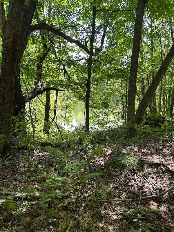 Eurich Pond Trailhead - Image 1